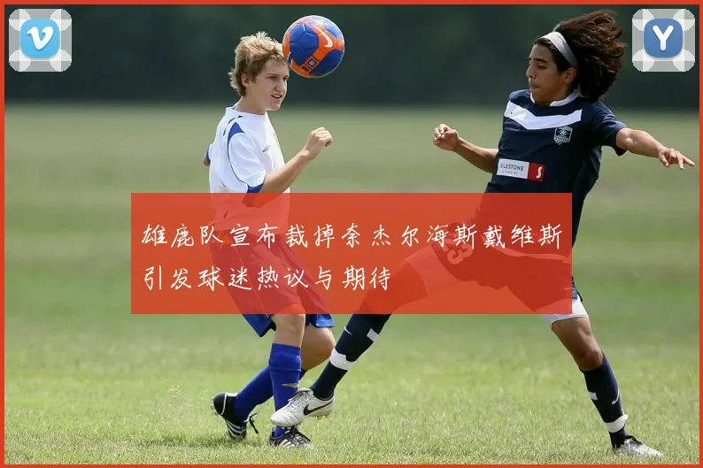 雄鹿队宣布裁掉奈杰尔海斯戴维斯引发球迷热议与期待