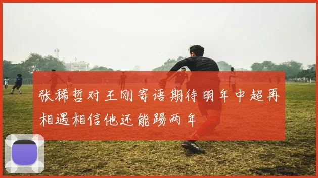 张稀哲对王刚寄语期待明年中超再相遇相信他还能踢两年
