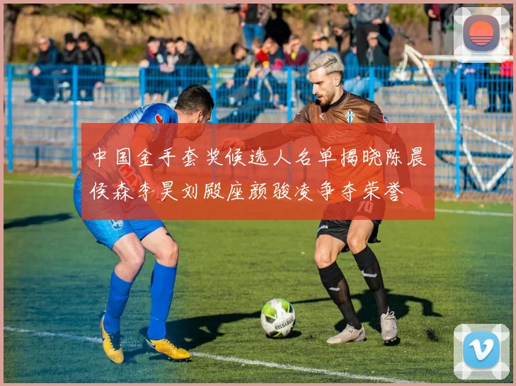 中国金手套奖候选人名单揭晓陈晨侯森李昊刘殿座颜骏凌争夺荣誉