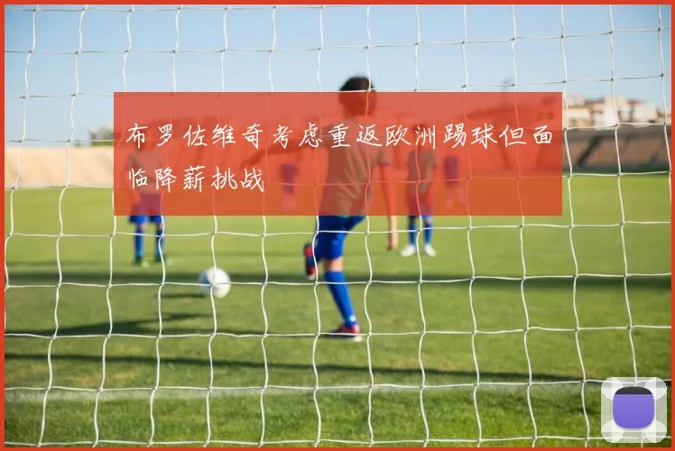 布罗佐维奇考虑重返欧洲踢球但面临降薪挑战