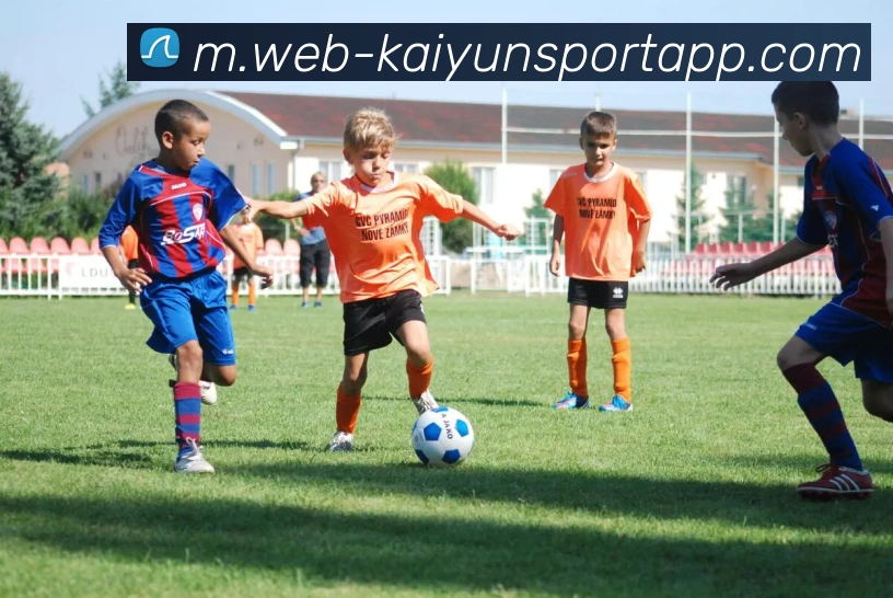 开云体育服务体系